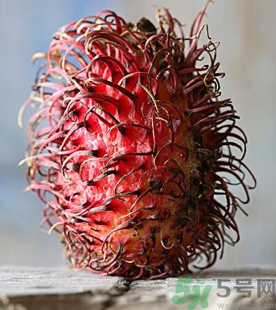 紅毛丹的核能吃嗎？紅毛丹的核可以吃嗎？