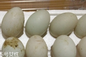 鴨蛋是酸性還是堿性？鴨蛋的性質(zhì)