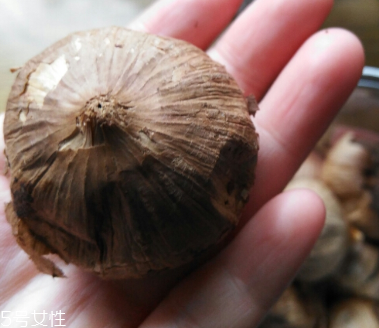 黑蒜的價格多少錢一斤？黑蒜很貴嗎？