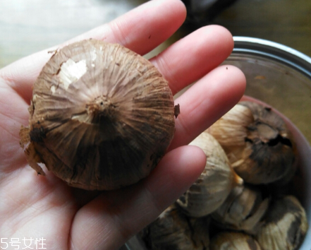黑蒜的價格多少錢一斤？黑蒜很貴嗎？