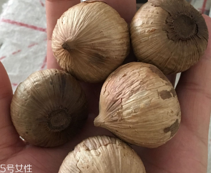 黑蒜怎么吃？黑蒜最好吃的吃法