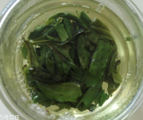 六安瓜片是紅茶還是綠茶？