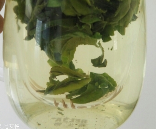 六安瓜片是紅茶還是綠茶？