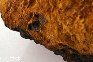 樺樹茸為什么中國禁止？樺樹茸國內(nèi)能買到嗎？