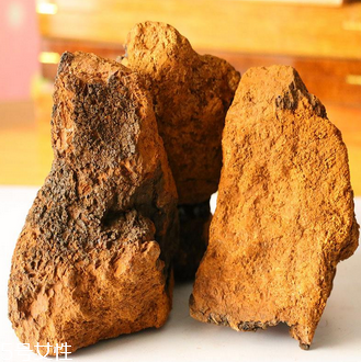 樺樹(shù)茸怎么吃？樺樹(shù)茸正確吃法