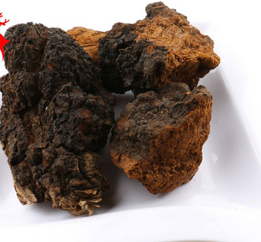 樺樹(shù)茸怎么吃？樺樹(shù)茸正確吃法