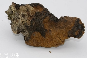 樺樹茸是中藥嗎？樺樹茸屬于中藥嗎