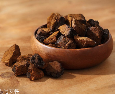 樺樹(shù)茸是中藥嗎？樺樹(shù)茸屬于中藥嗎