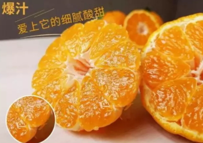 丑八怪可以放冰箱嗎？丑八怪怎么保存