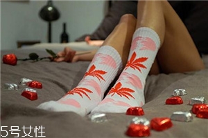 楓葉襪子正品多少錢？楓葉襪子價格詳情