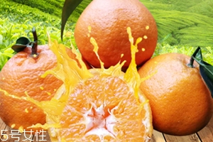 春見(jiàn)是什么水果？春見(jiàn)是丑八怪還是耙耙柑