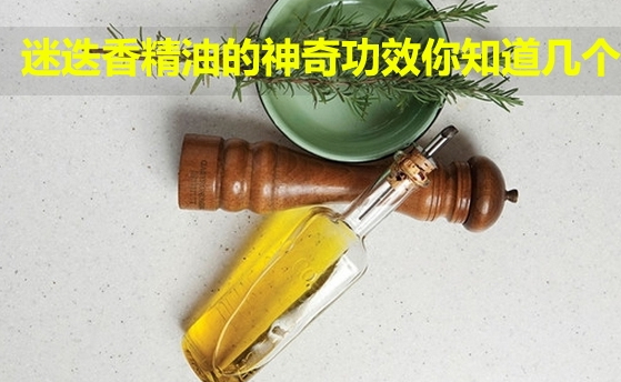 迷迭香精油可以泡腳嗎？迷迭香精油泡腳配方