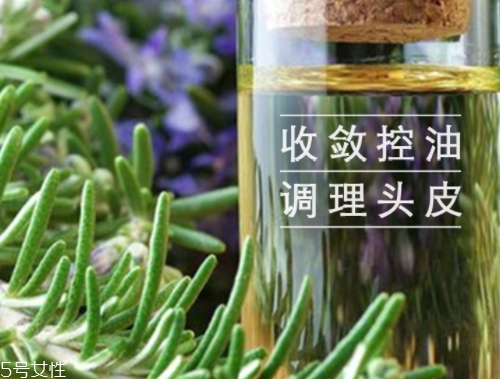 迷迭香精油怎么用？迷迭香精油使用注意事項(xiàng)