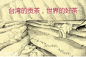 四云奶蓋貢茶哪個(gè)好喝？四云奶蓋貢茶點(diǎn)單攻略