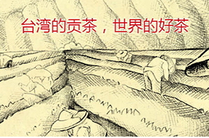 四云奶蓋貢茶哪個好喝？四云奶蓋貢茶點單攻略