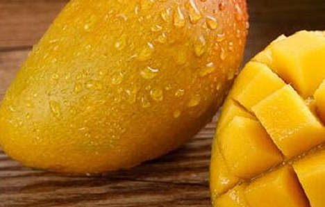 七彩芒多少錢(qián)一斤？七彩芒的功效與作用