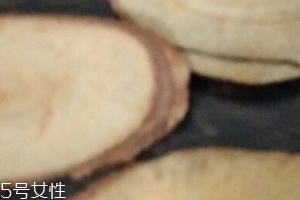 東革阿里是中藥嗎？東革阿里是什么？