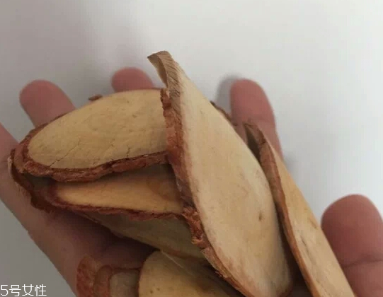 東革阿里是中藥嗎？東革阿里是什么？