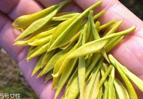 黃金茶多少錢(qián)一斤 黃金茶怎么選購(gòu)