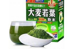 大麥若葉青汁小孩可以喝嗎？