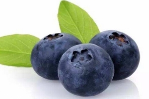 花青素是雌激素嗎？花青素是什么？