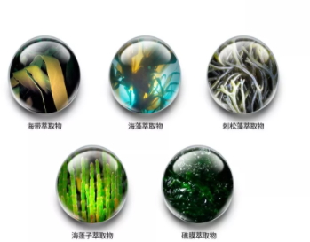 jm防曬噴霧什么味道？jmsolution防曬噴霧好聞嗎？