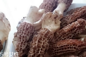 羊肚菌是什么東西？羊肚菌能吃嗎？