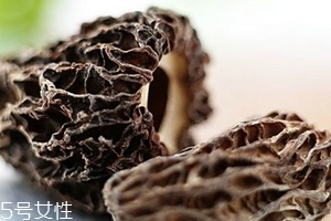 羊肚菌是發(fā)物嗎？羊肚菌屬于發(fā)物嗎？