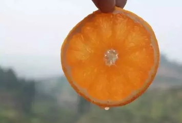 青見柑橘上火嗎？青見柑橘一天吃幾個好