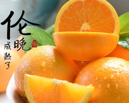 倫晚臍橙和夏橙哪個好？倫晚臍橙和其他橙子的區(qū)別