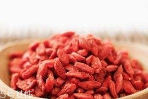 枸杞是哪個(gè)地方的特產(chǎn)？哪里產(chǎn)的枸杞好？