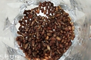 青稞茶怎么沖泡？青稞茶沖泡方法
