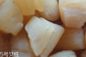 干貝是海鮮嗎？干貝是什么動(dòng)物做的？