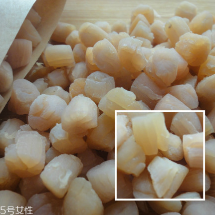 干貝是海鮮嗎？干貝是什么動(dòng)物做的？