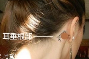 暈車貼貼哪里？暈車貼貼哪里示意圖