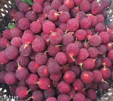 烏酥楊梅多少錢一斤？烏酥楊梅好吃嗎
