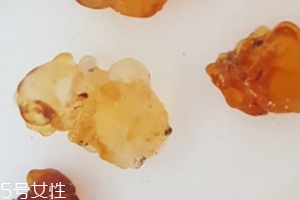桃膠能生吃嗎？生吃桃膠可以嗎？