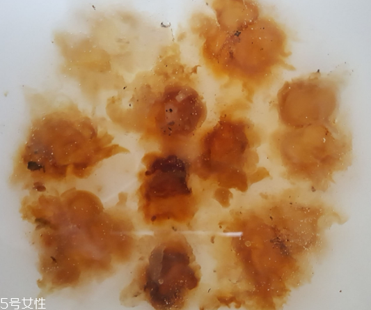 桃膠能生吃嗎？生吃桃膠可以嗎？