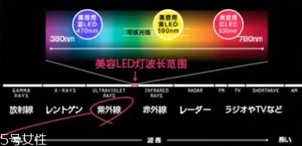 belulu大排燈怎么樣？belulu大排燈和exideal大排燈哪個好