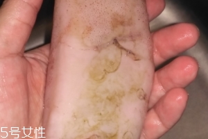 魷魚是海鮮嗎？魷魚屬于海鮮嗎？