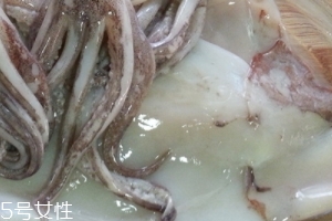 魷魚(yú)是烏賊嗎？魷魚(yú)跟烏賊是一種嗎？