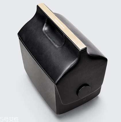 alexander wang與夢(mèng)龍合作款包包多少錢_在哪買？