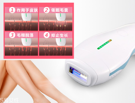 deess脫毛儀多少錢？蒂絲脫毛儀價格
