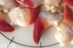北極貝是海鮮嗎？北極貝介紹