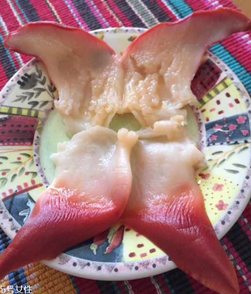 北極貝是海鮮嗎？北極貝介紹
