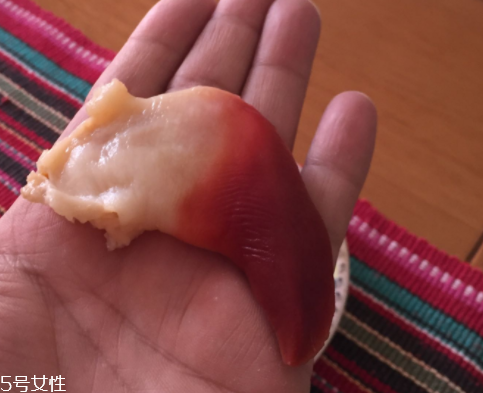 北極貝是海鮮嗎？北極貝介紹