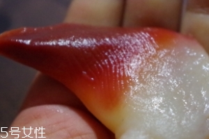 北極貝能不能煮？煮北極貝可以嗎？