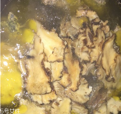 烏骨雞是烏雞嗎？烏骨雞是什么雞？