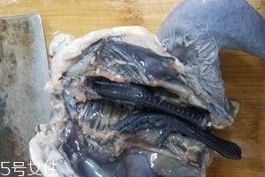 烏雞是公雞好還是母雞好？烏雞買公雞還是母雞？
