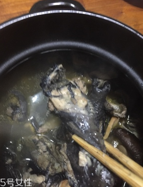 烏雞是公雞好還是母雞好？烏雞買公雞還是母雞？